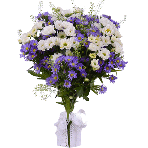 Santini White Spray Chrysanthemum - 7, Lilac aster - 5, Green bell (1 pc.), Ribbon