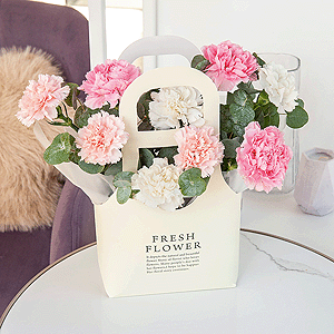 Pink carnation - 5, Carnation white, cream - 10, Flower bag, Oasis, Eucalyptus