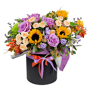 Majestic with delivery Vologda