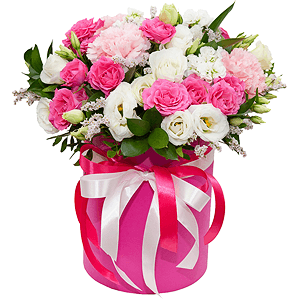 Romantique with delivery Vologda