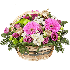 Magic moment with delivery Vologda