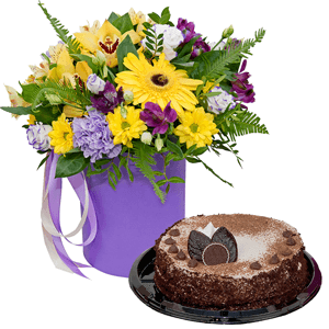 Sunbeams with cake with delivery Vologda