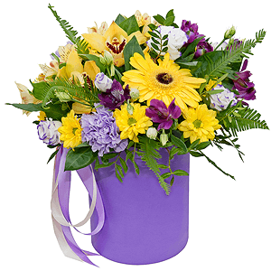 Sunbeams with delivery Vologda