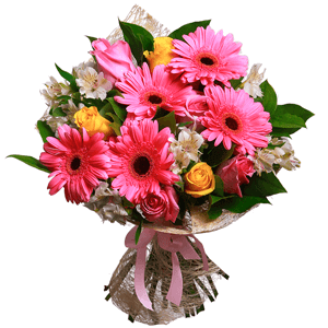 Pink Panther with delivery Vologda