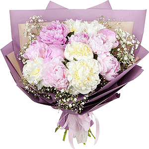 Barbie (Deluxe) with delivery Vologda