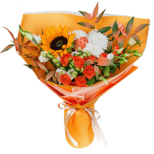 Our summer with delivery Vologda