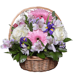 Paradise Garden with delivery Vologda