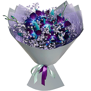Gypsophila - 6, Orchid Dendrobium - 7, Flask for orchids, Dried flowers in assortment, Wrapping Paper