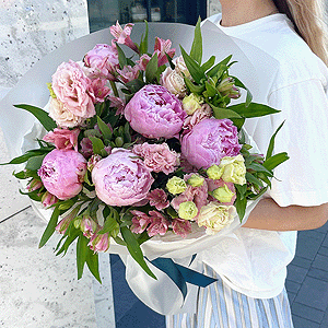 Peony Gloss with delivery Vologda