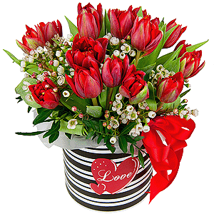 Blooming spring with delivery Vologda