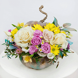 Trick or treat with delivery Vologda