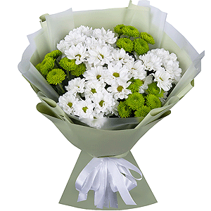 Chrysanthemums Waltz with delivery Vologda