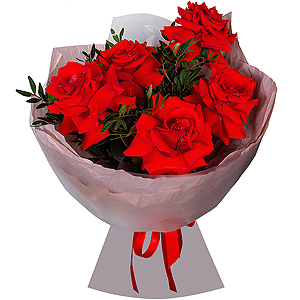 Rose Red 50 cm Ecuador - 7, Pistachio, Wrapping Paper