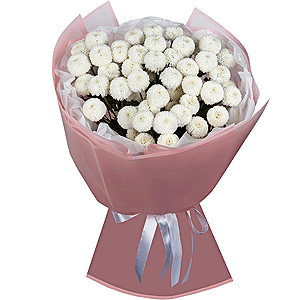 Snowy Wonder with delivery Vologda