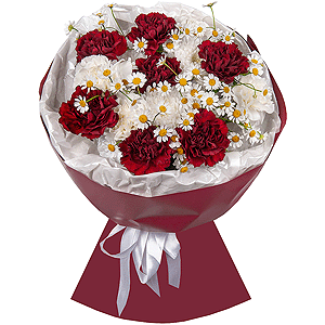 Peace and Liberty with delivery Vologda