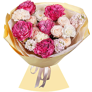 Wonderland with delivery Vologda