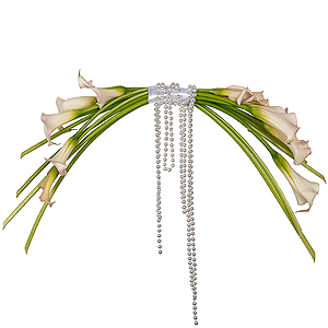 Pearl Harp with delivery Vologda