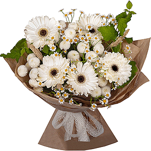 Chamomile Morning with delivery Vologda