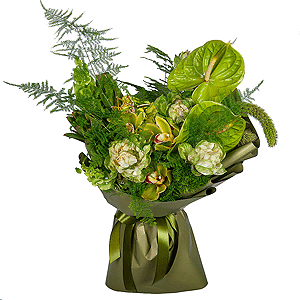 Frog Princess with delivery Vologda