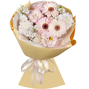Joy of Life with delivery Vologda