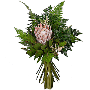 Fern Blossom with delivery Vologda