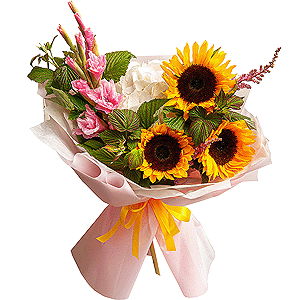 Back to School with delivery Vologda