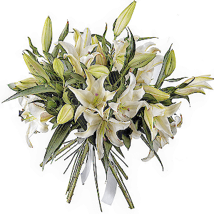 Bouquet of lilies (Deluxe) with delivery Vologda