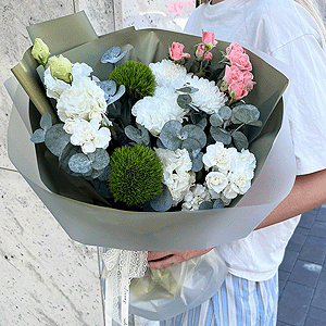 Philosophy of Nature with delivery Vologda