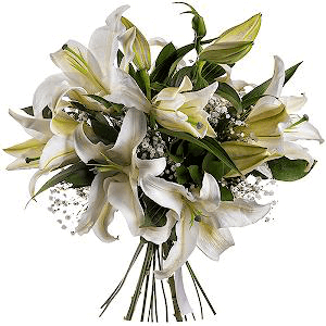 Bouquet of lilies (Small) with delivery Vologda