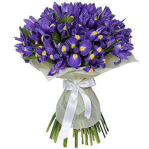 45 Irises with delivery Vologda