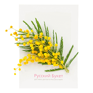 Handmade greeting card &laquo;Happy 8th March!&raquo; with delivery Vologda