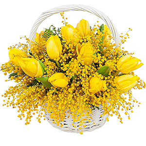 My sunshine with delivery Vologda