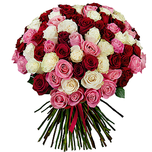 Bouquet of 101 multi-colored roses Premium Ecuador with delivery Vologda