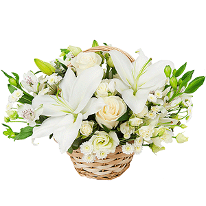 Lovebirds with delivery Vologda