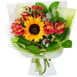 Sunny Flower with delivery Vologda