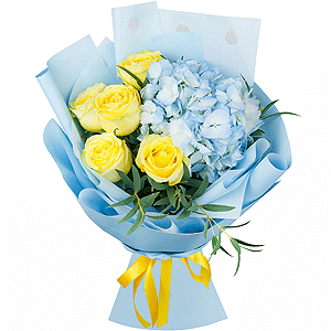 High in the sky with delivery Vologda