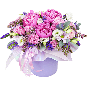 Day-dreaming with delivery Vologda