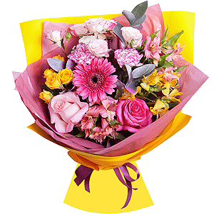 Fusion with delivery Vologda