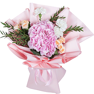 Pink lady with delivery Vologda