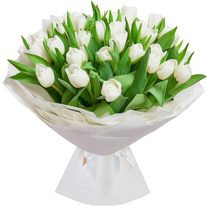 White tulips with delivery Vologda