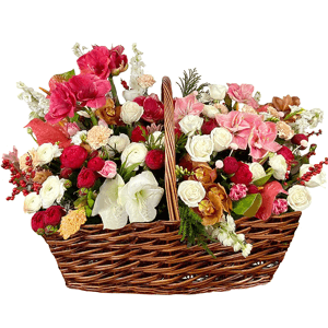 The Magnificent with delivery Vologda