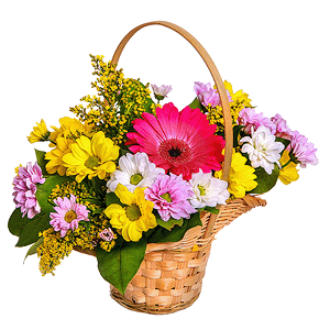 Сorporative present with delivery Vologda