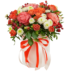 Warm feelings with delivery Vologda