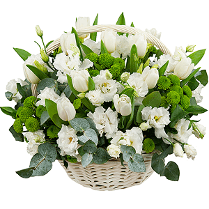 Snowdrops with delivery Vologda