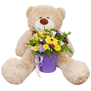 Sunbeams with teddy bear with delivery Vologda