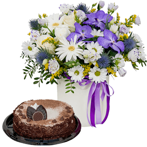 Fluffy cloud with cake with delivery Vologda