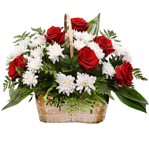 Red rose 50 cm - 9, Baltica White Spray Chrysanthemum - 9, Large Basket, Oasis, Aspidistra (1 pc.), Fern (1 pc.), Ruscus