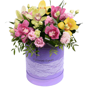 Arrangement of orchids in a hatbox with delivery Vologda