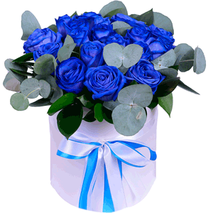 Arrangement of 17 blue roses in a hatbox with delivery Vologda