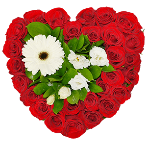 Feast of love with delivery Vologda